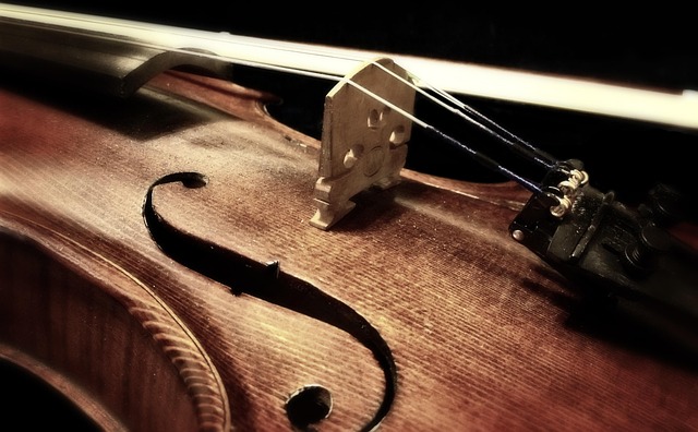 The violin is very nice.